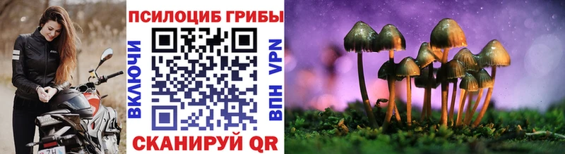 Галлюциногенные грибы Cubensis Переславль-Залесский